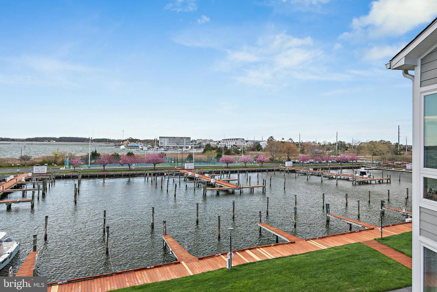 230 Oyster Cove Dr Property Photo 49