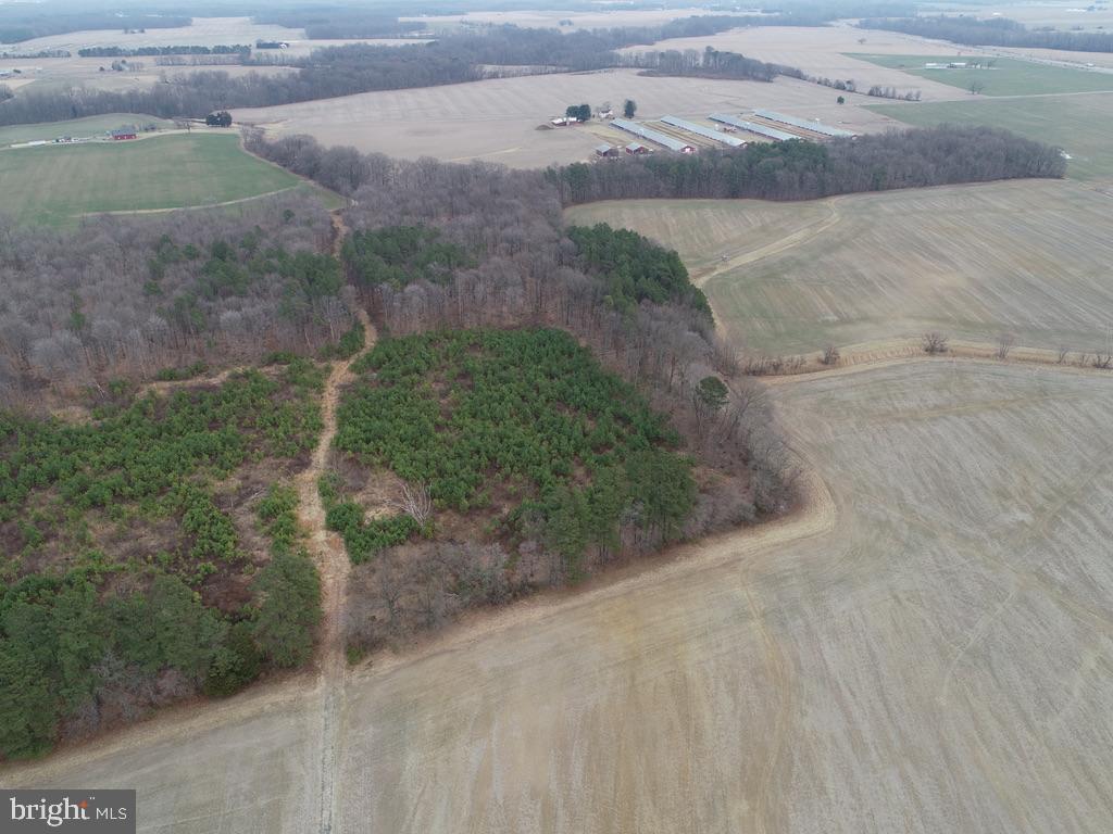 Fox Meadow Rd Property Photo 5