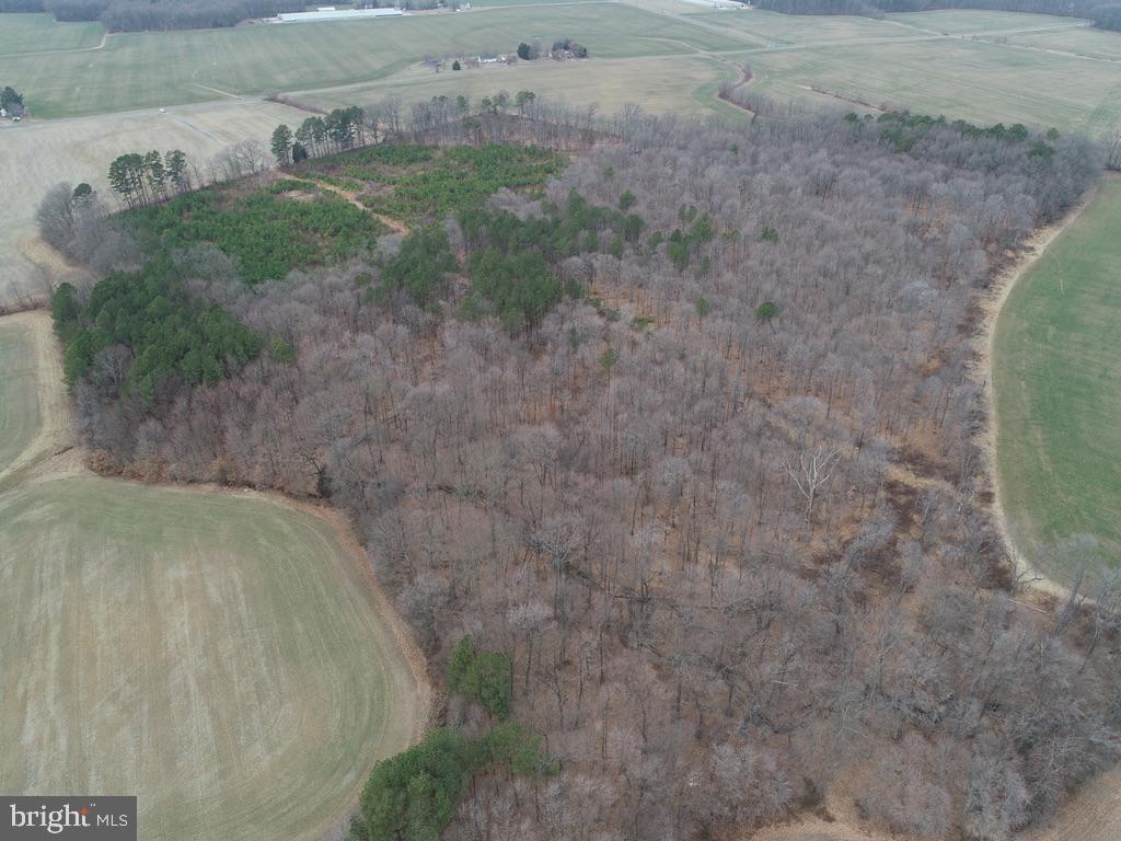 Fox Meadow Rd Property Photo 7