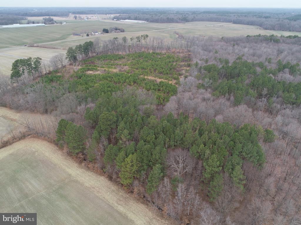 Fox Meadow Rd Property Photo 9