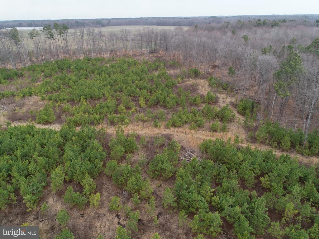 Fox Meadow Rd Property Photo 11