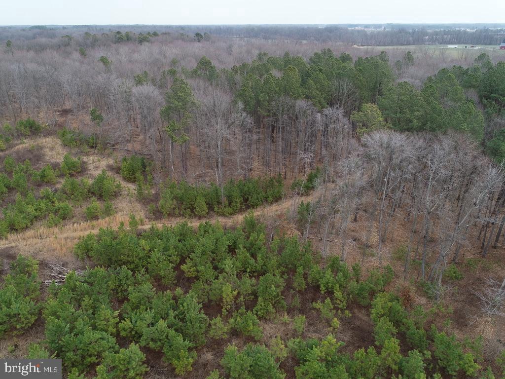 Fox Meadow Rd Property Photo 13