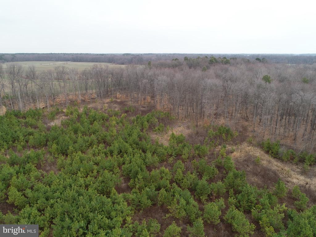 Fox Meadow Rd Property Photo 14