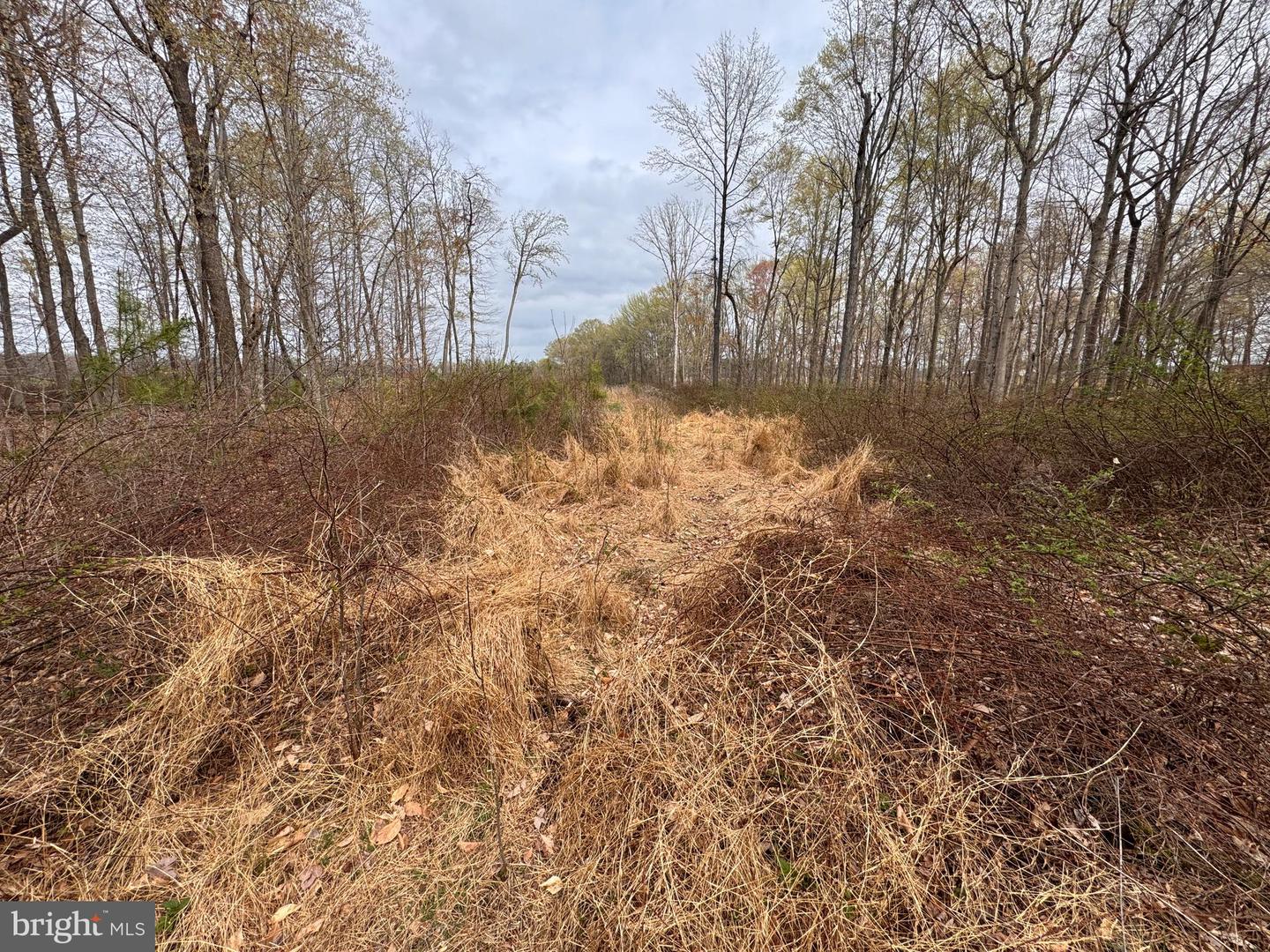 Fox Meadow Rd Property Photo 16
