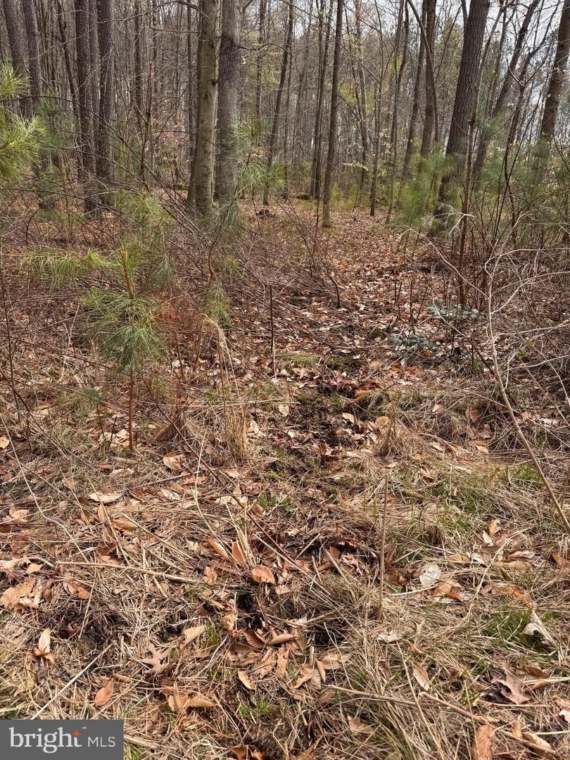 Fox Meadow Rd Property Photo 17