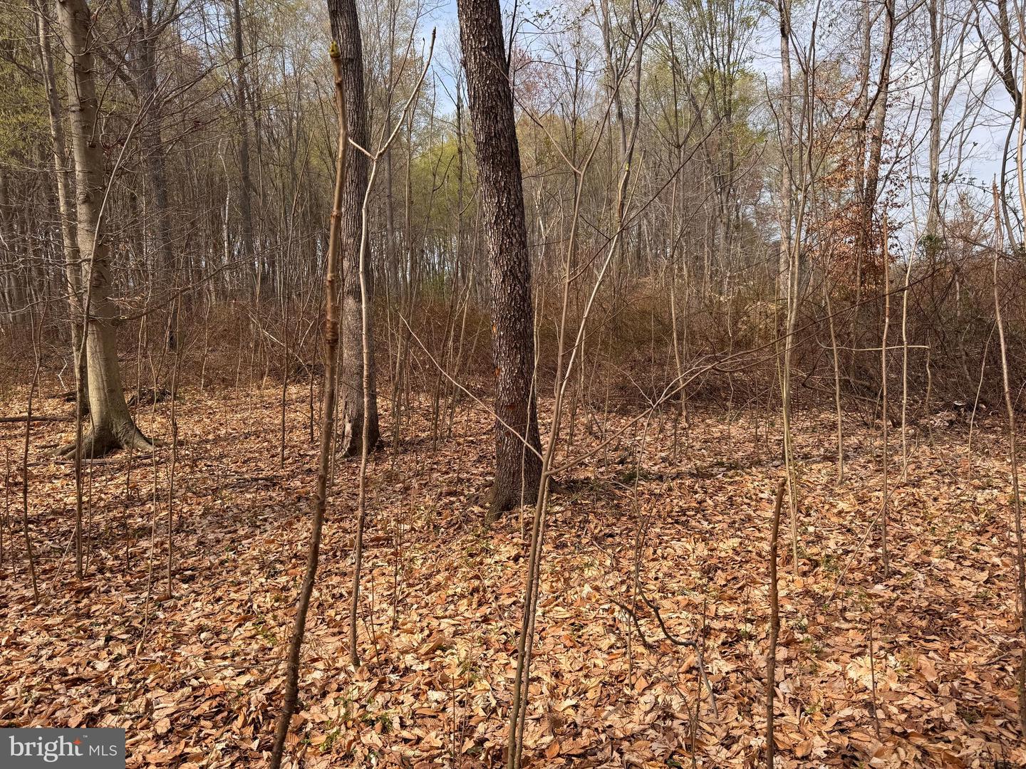 Fox Meadow Rd Property Photo 21
