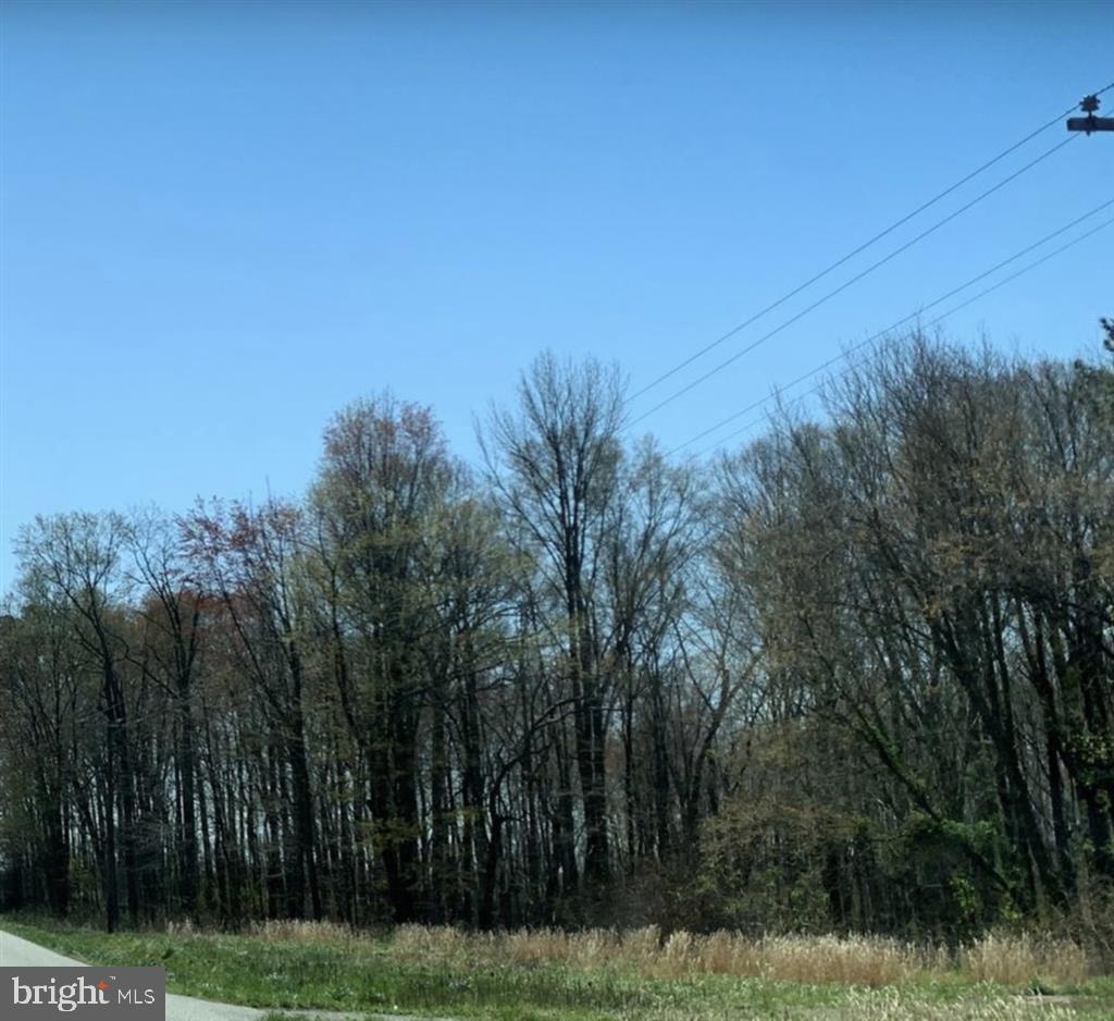1724 Starr Rd Property Photo 1