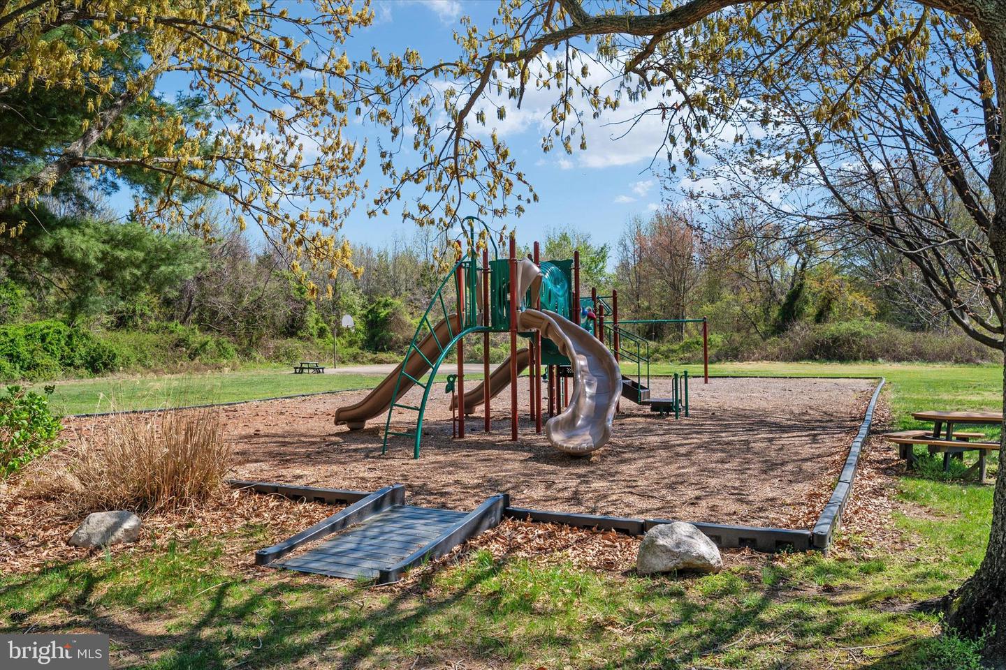 407 Five Farms Dr Property Photo 57