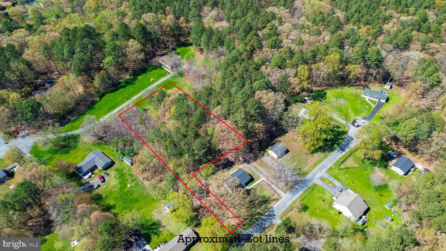 Forest Rd Property Photo 3