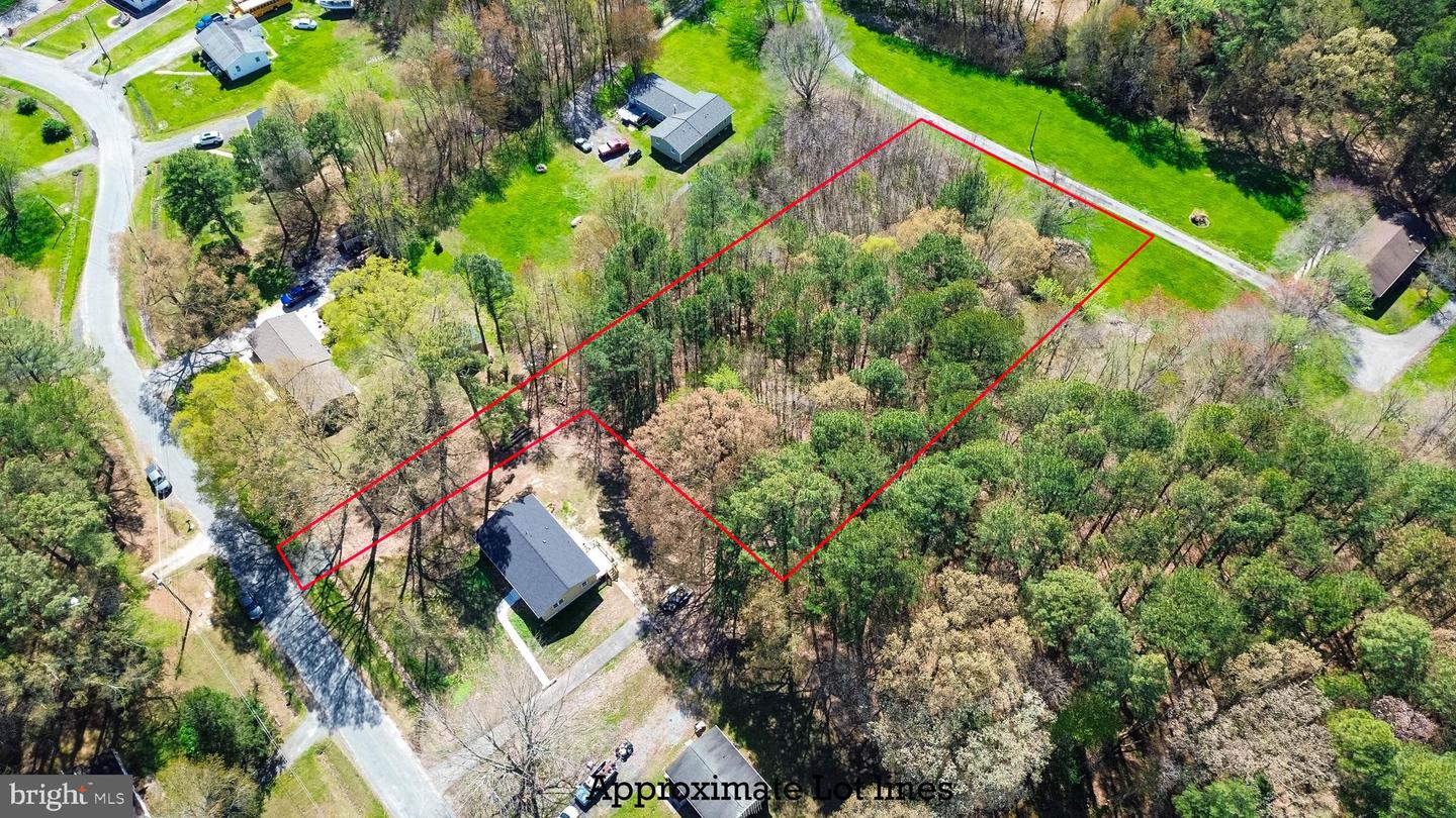 Forest Rd Property Photo 4