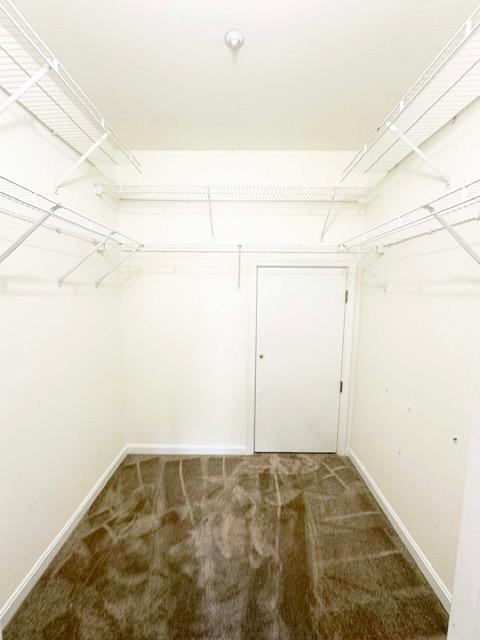 114 Merganser Ct Property Photo 15