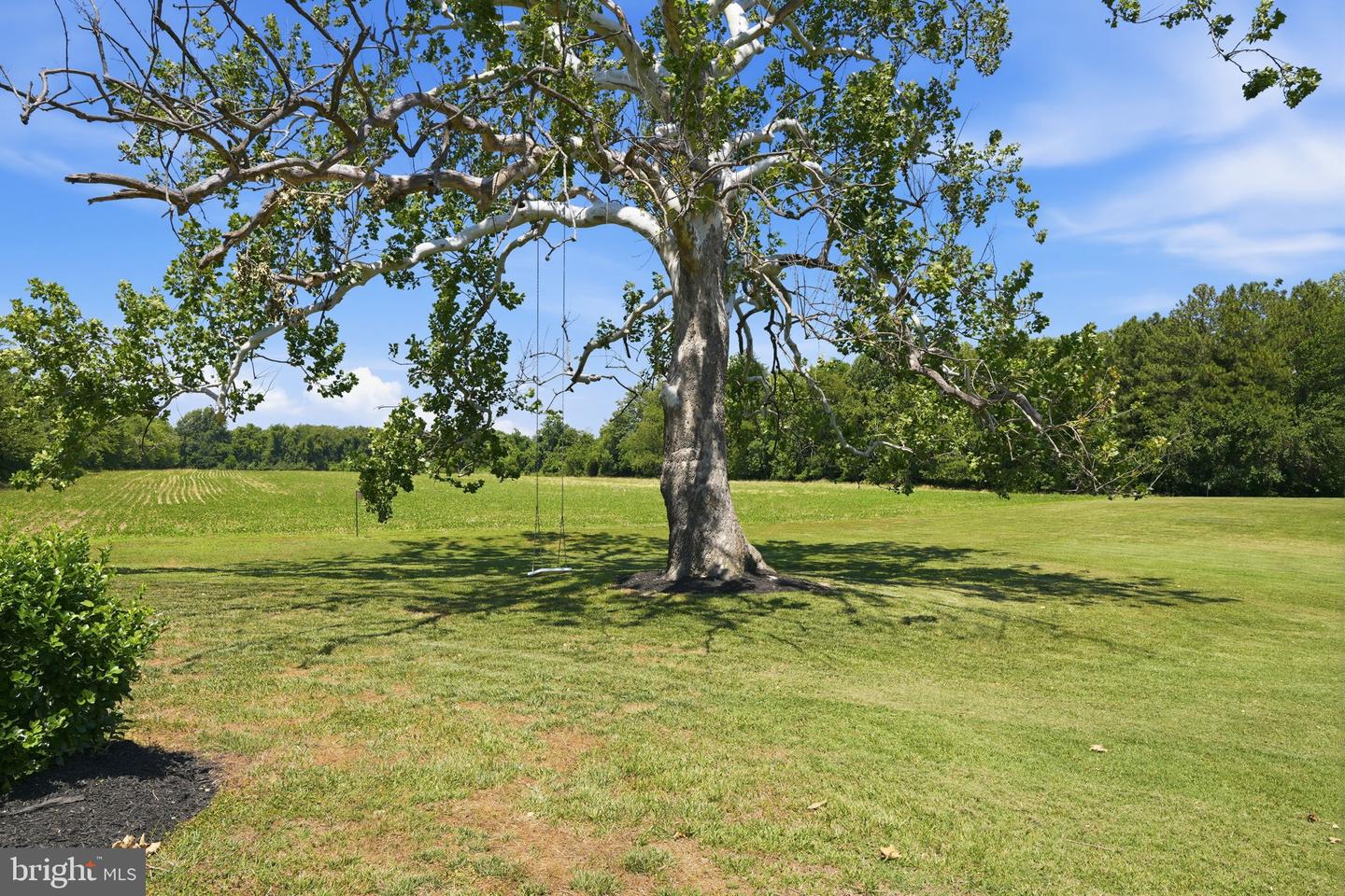 1810 Love Point Rd Property Photo 14