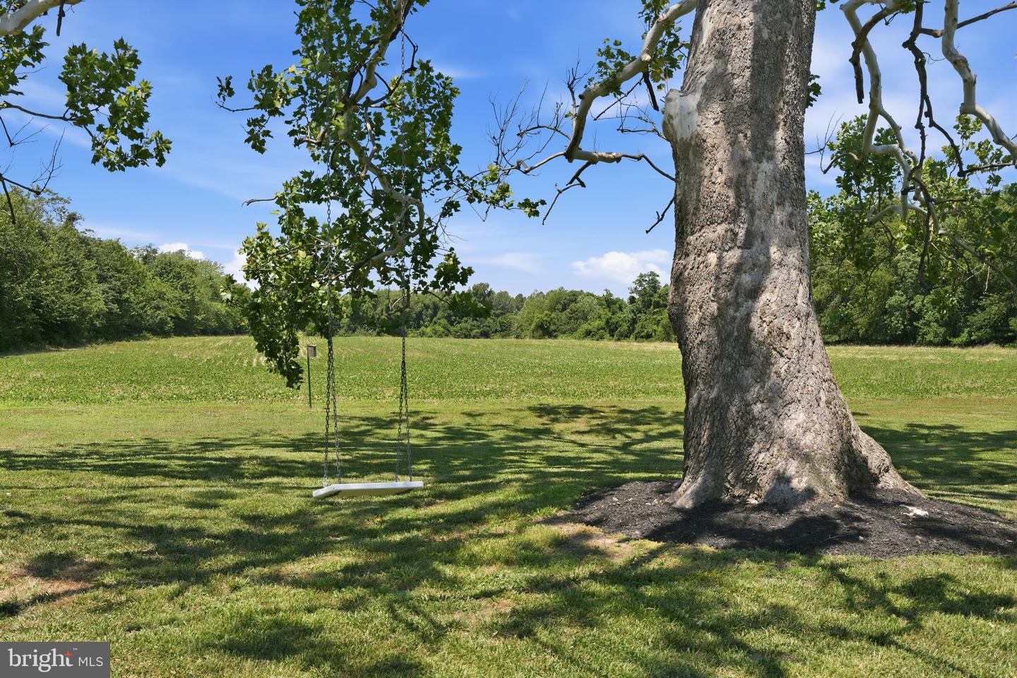 1810 Love Point Rd Property Photo 15