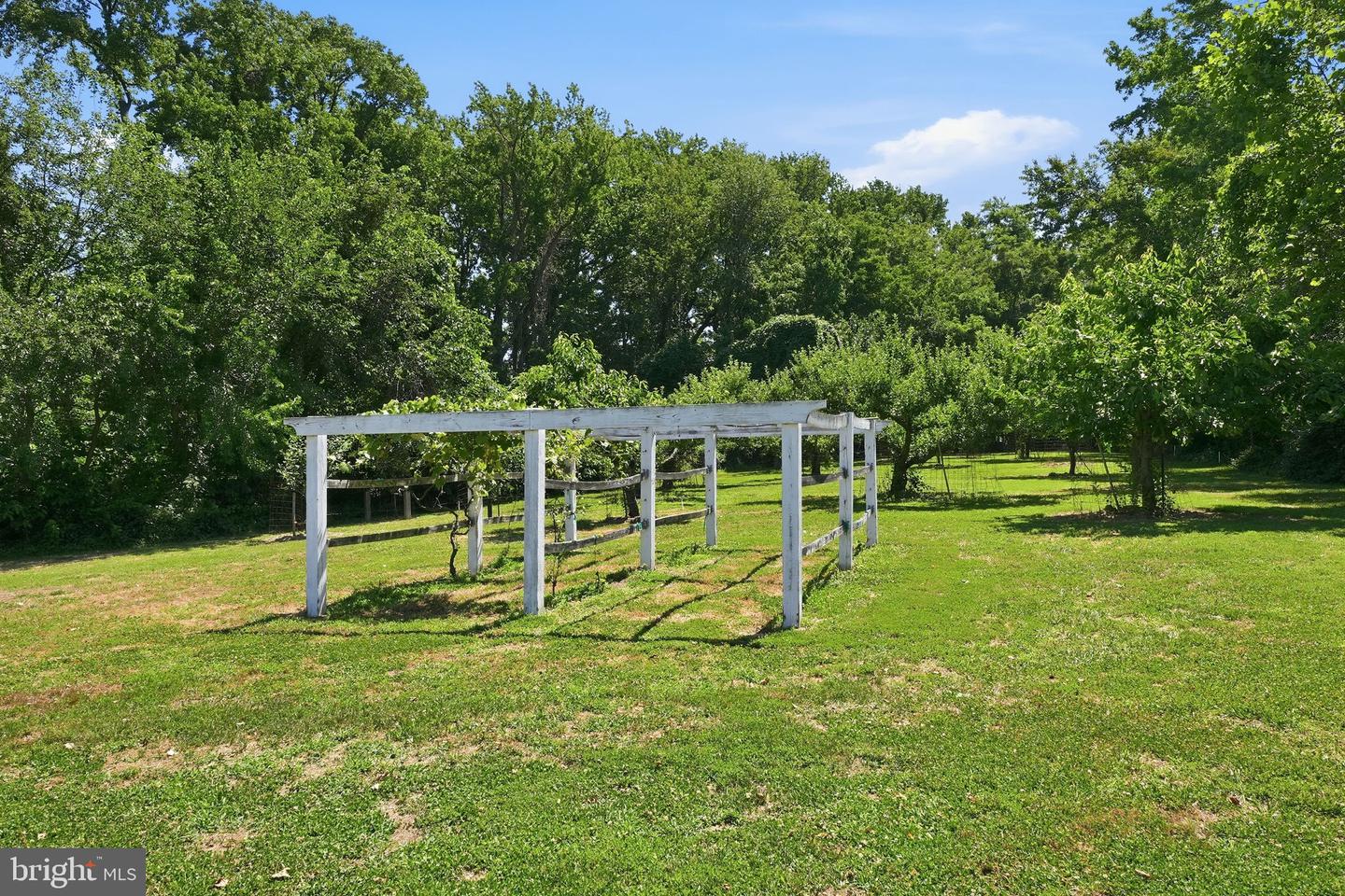 1810 Love Point Rd Property Photo 80
