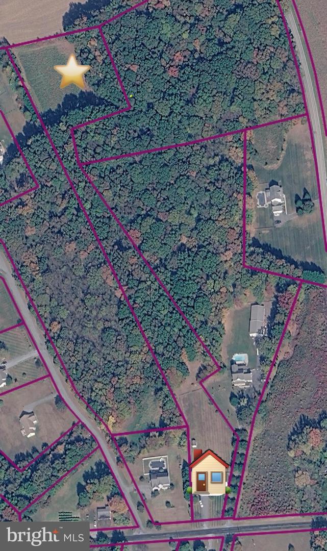913 Clark Corners Rd Property Photo 50