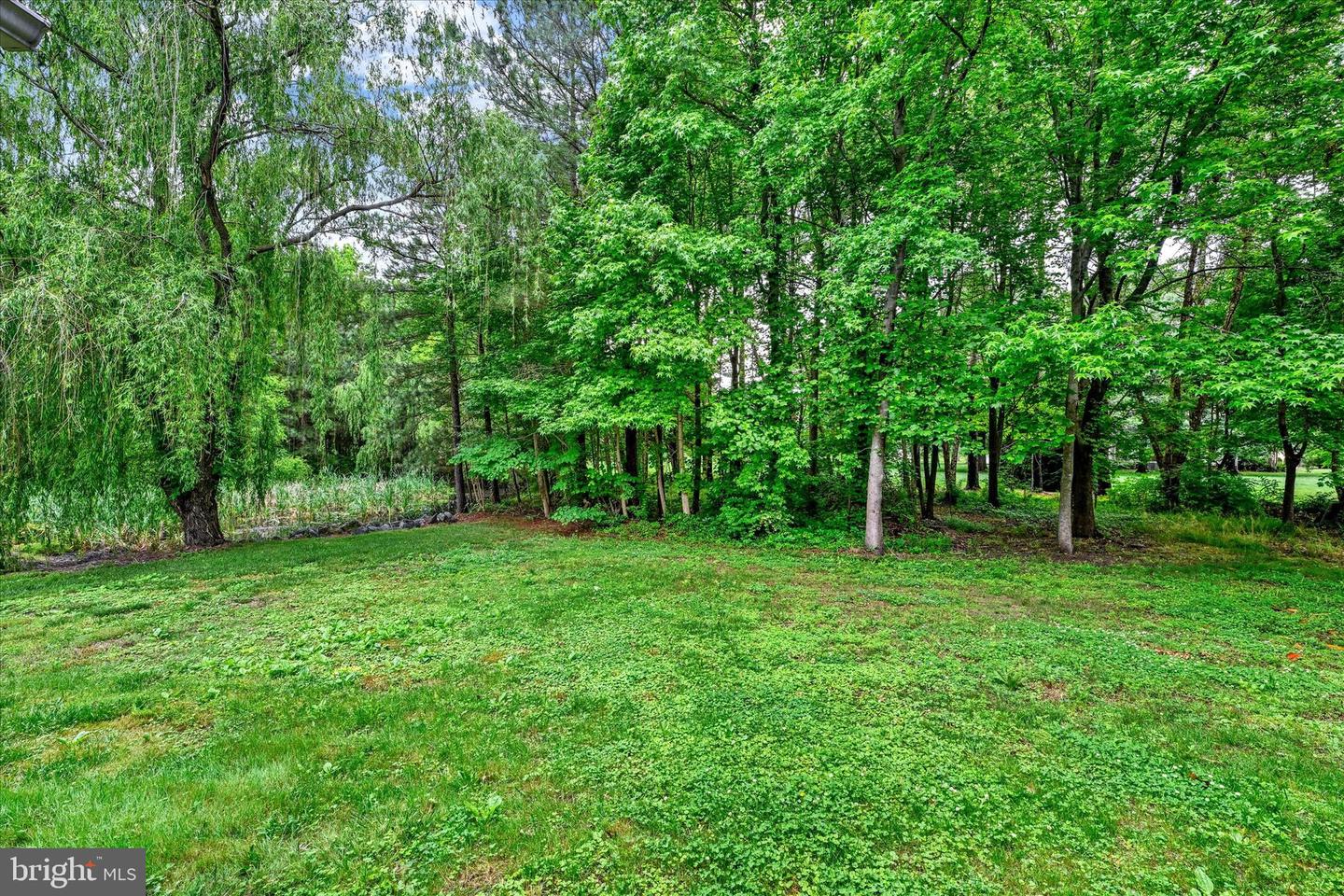 1024 Avalon Ct Property Photo 65