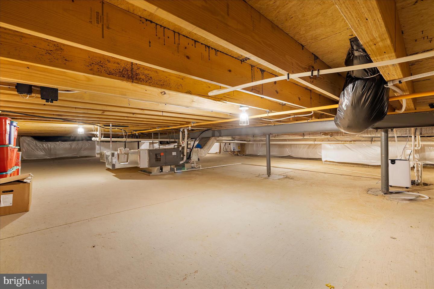 521 Moorings Cir #245 Property Photo 41