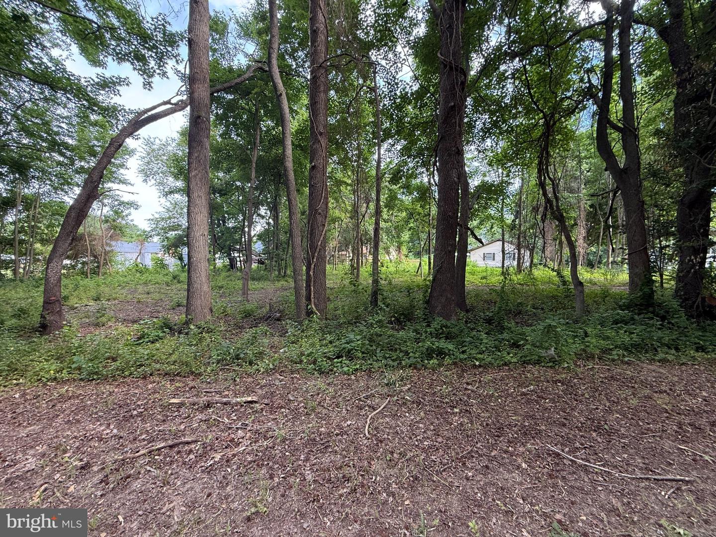 Bay Dr Property Photo 4
