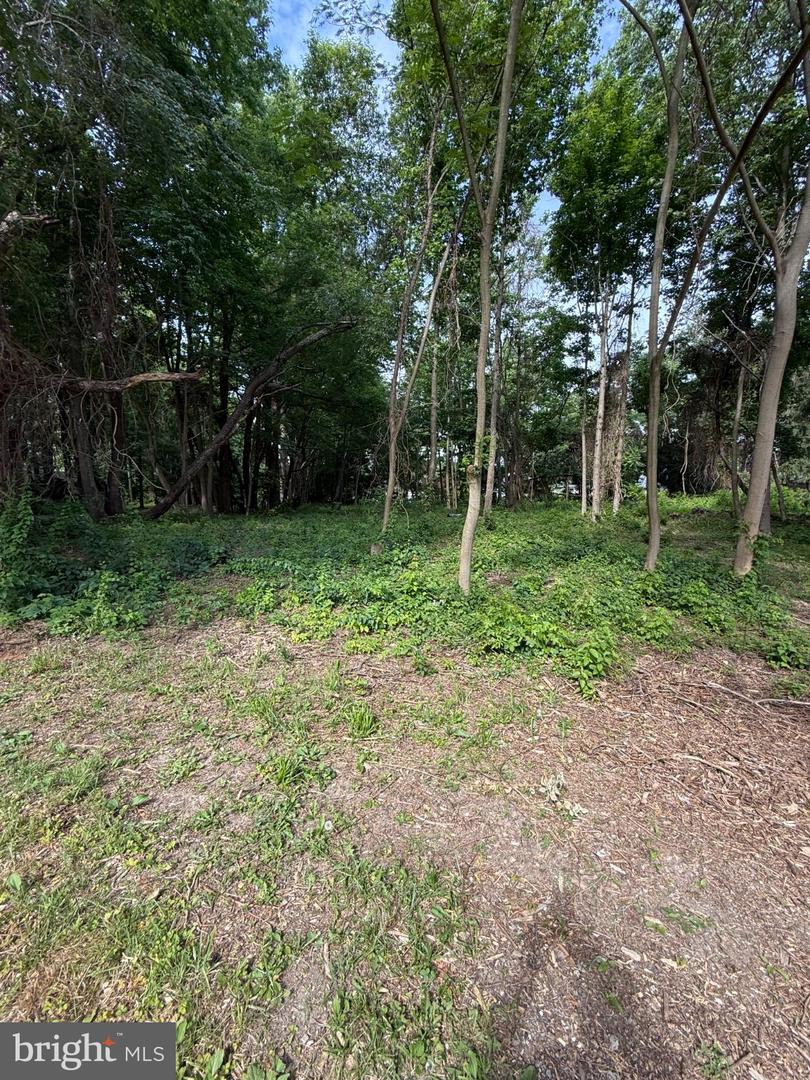 Bay Dr Property Photo 9