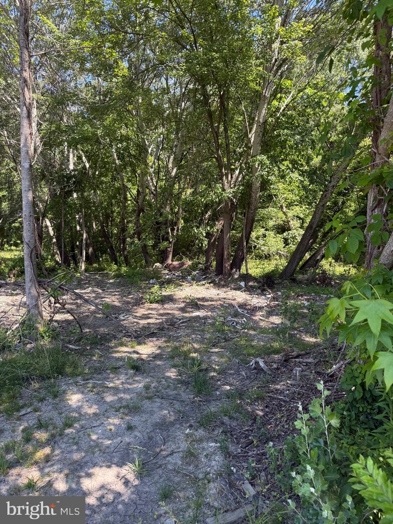 105 Barclay Cutoff Rd Property Photo 1