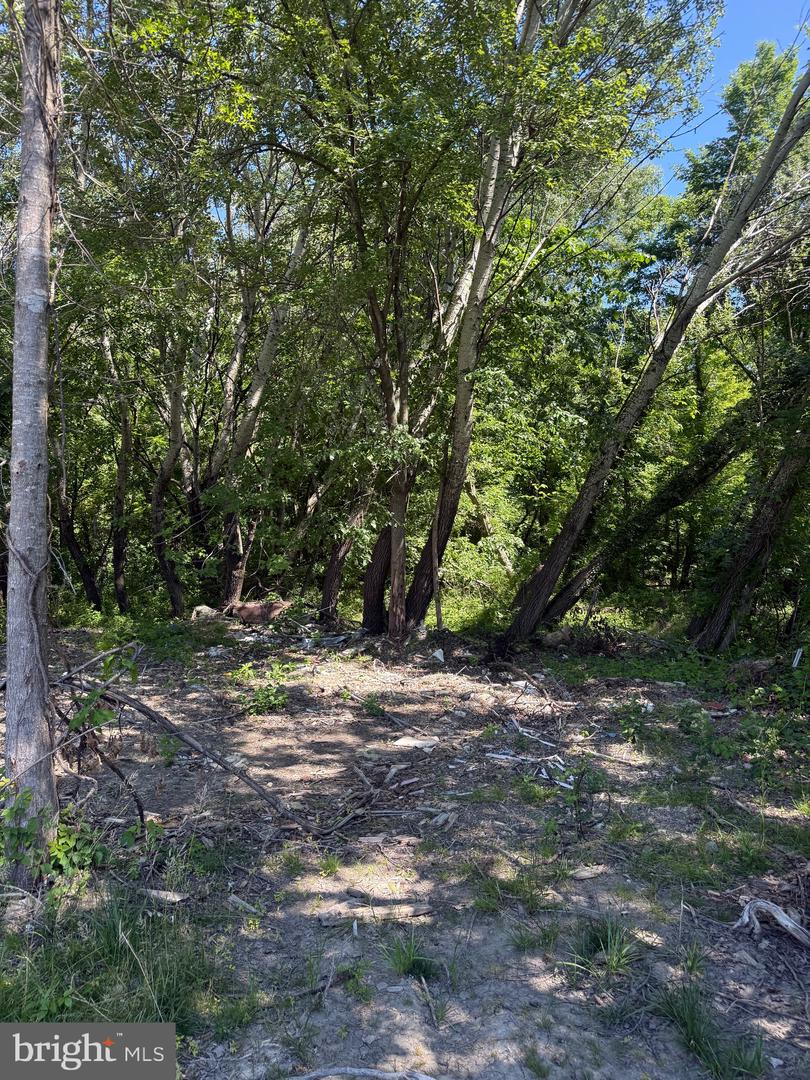 105 Barclay Cutoff Rd Property Photo 2