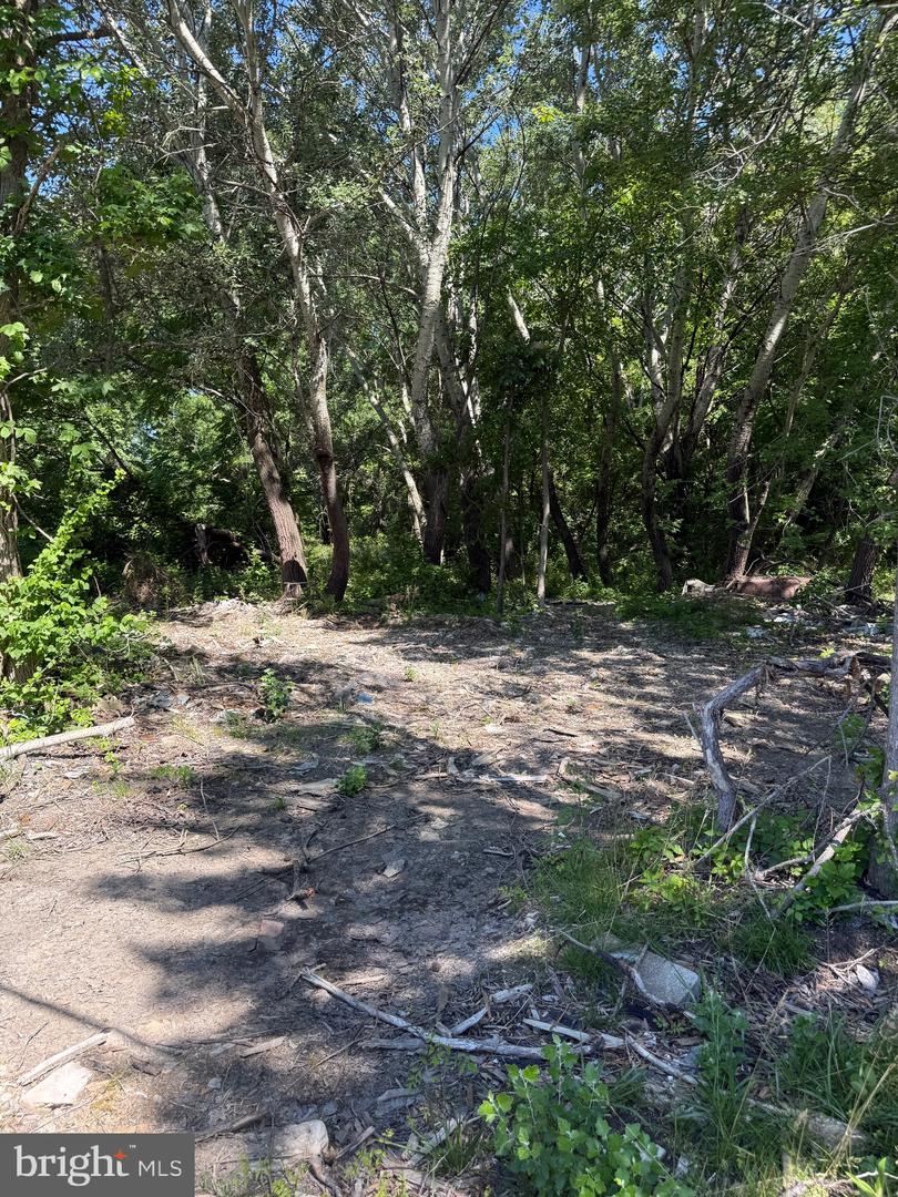105 Barclay Cutoff Rd Property Photo 3