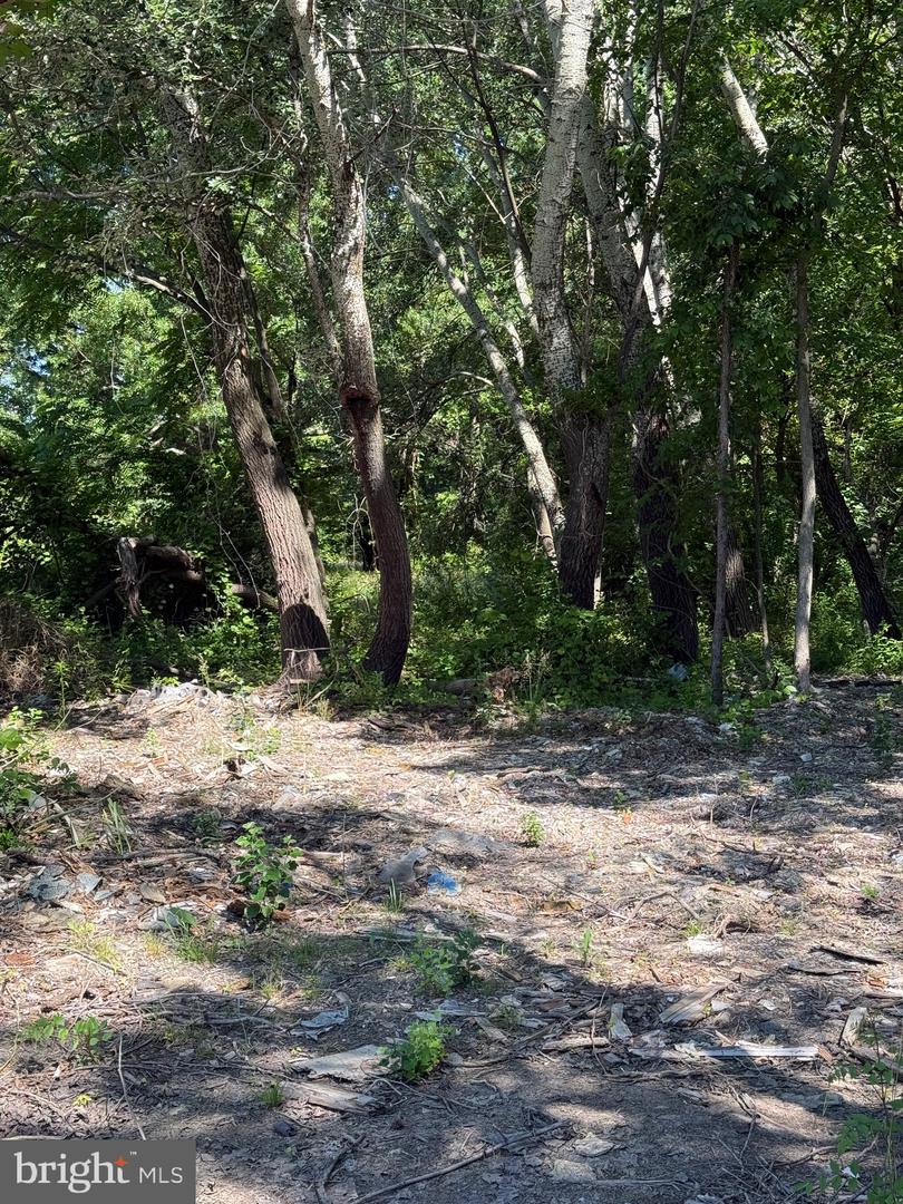 105 Barclay Cutoff Rd Property Photo 4