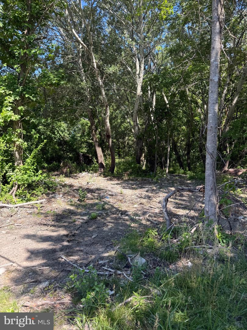 105 Barclay Cutoff Rd Property Photo 5