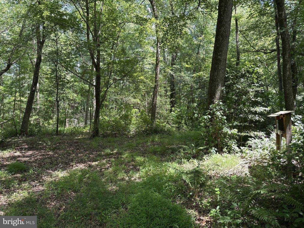 Peters Corner Rd Property Photo 2