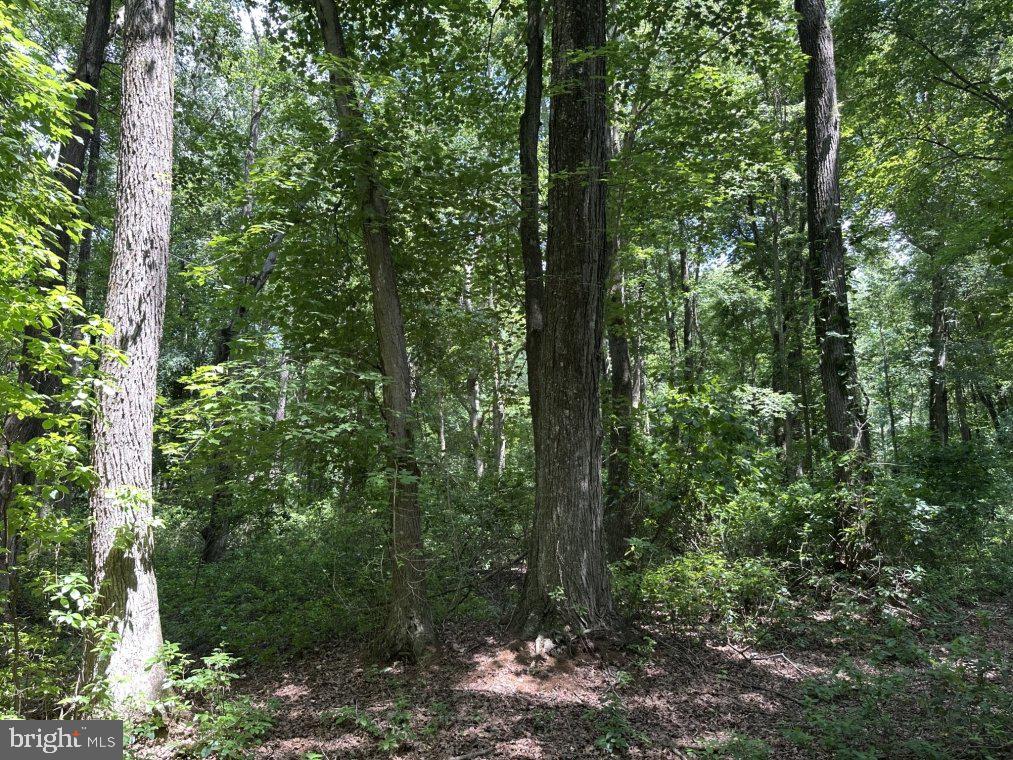 Peters Corner Rd Property Photo 3