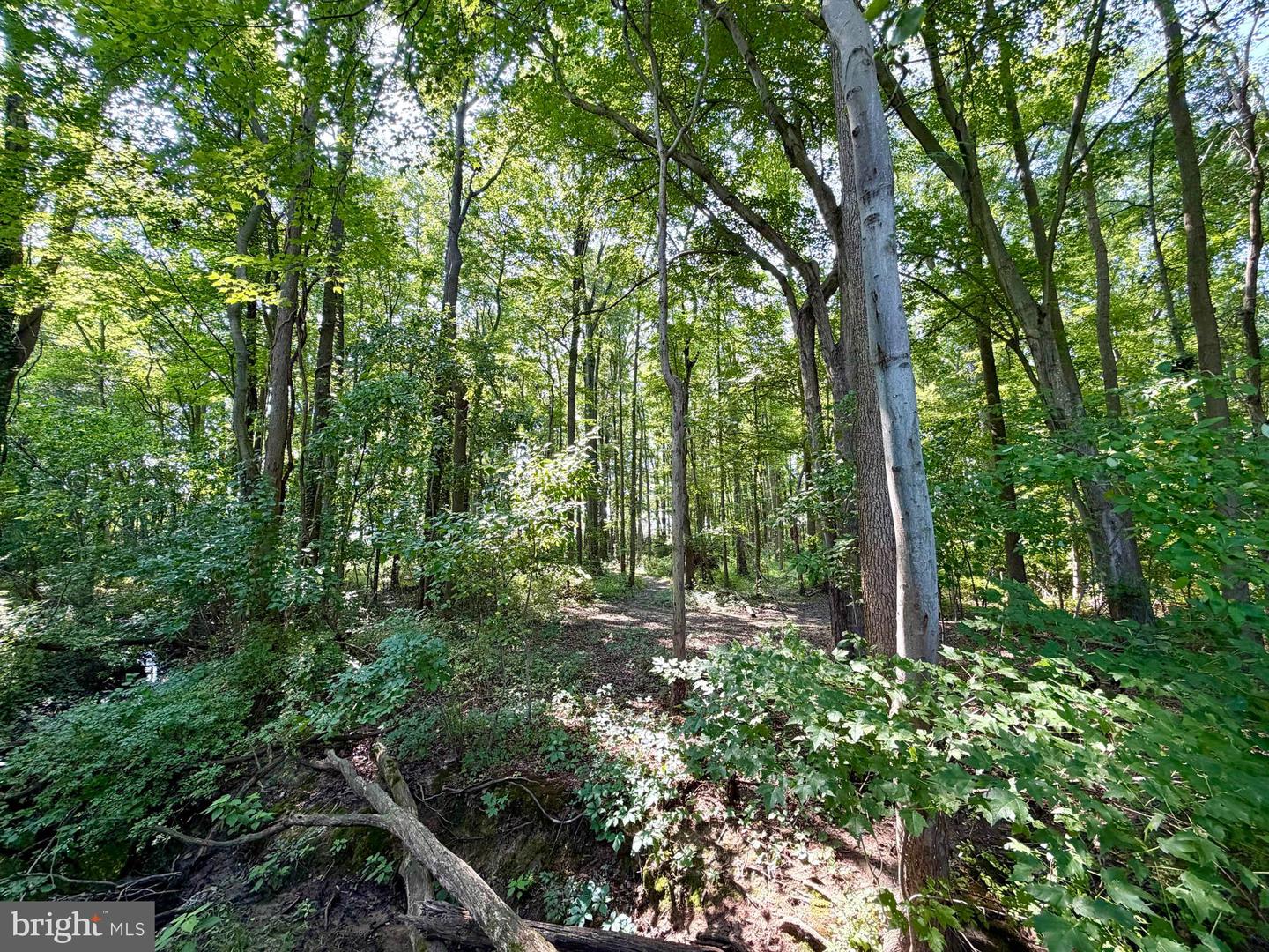 Bay Dr Property Photo 3