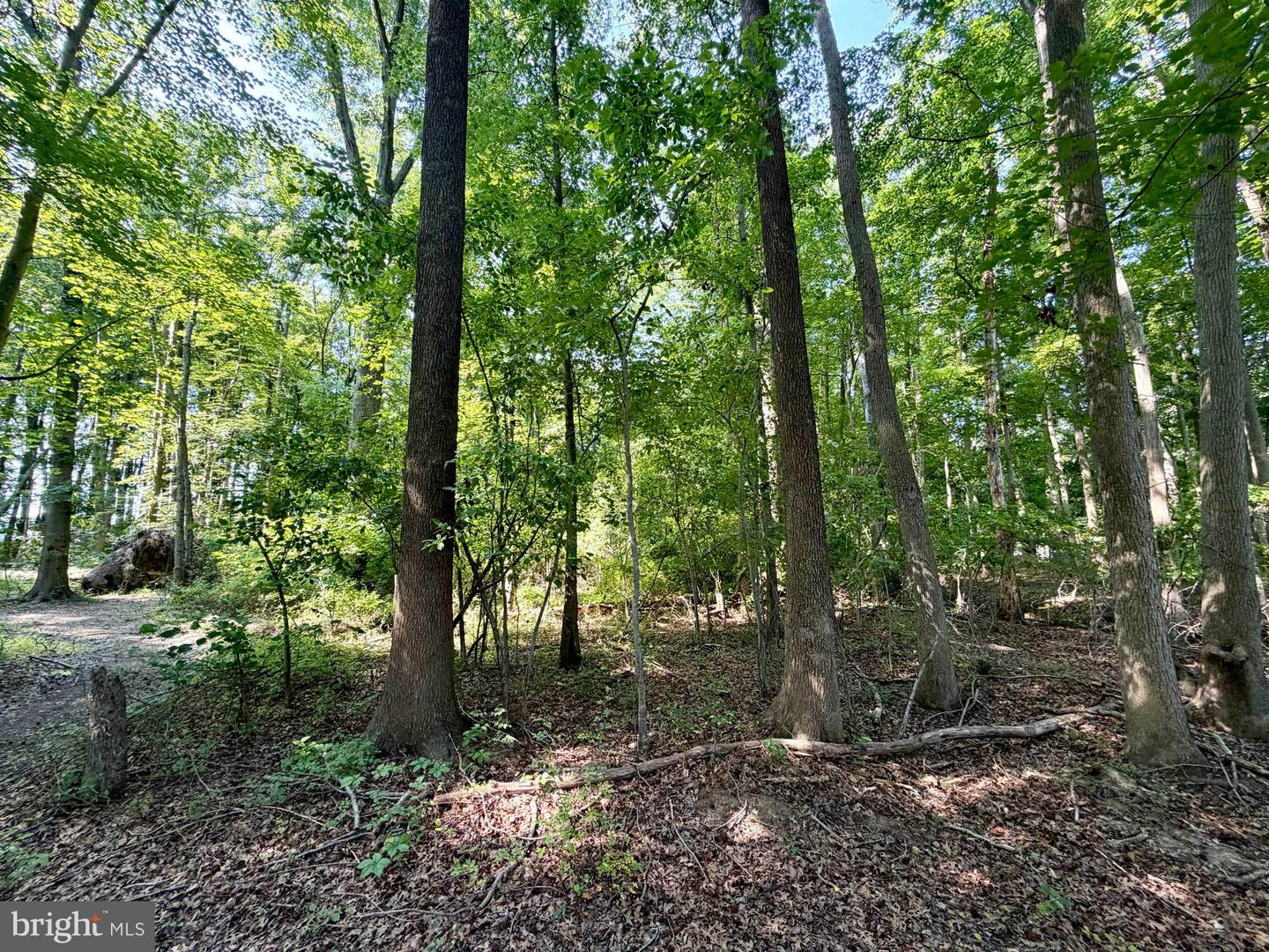 Bay Dr Property Photo 5