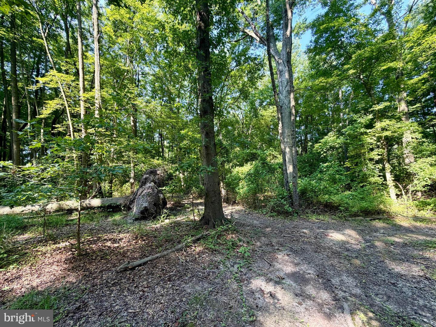 Bay Dr Property Photo 6