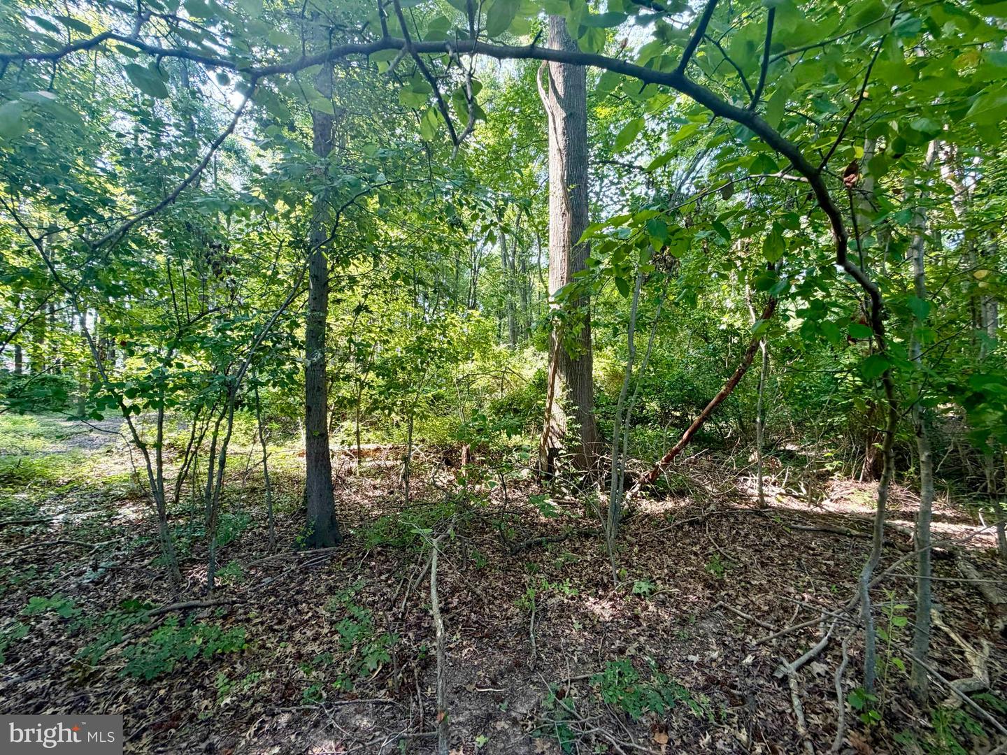 Bay Dr Property Photo 7
