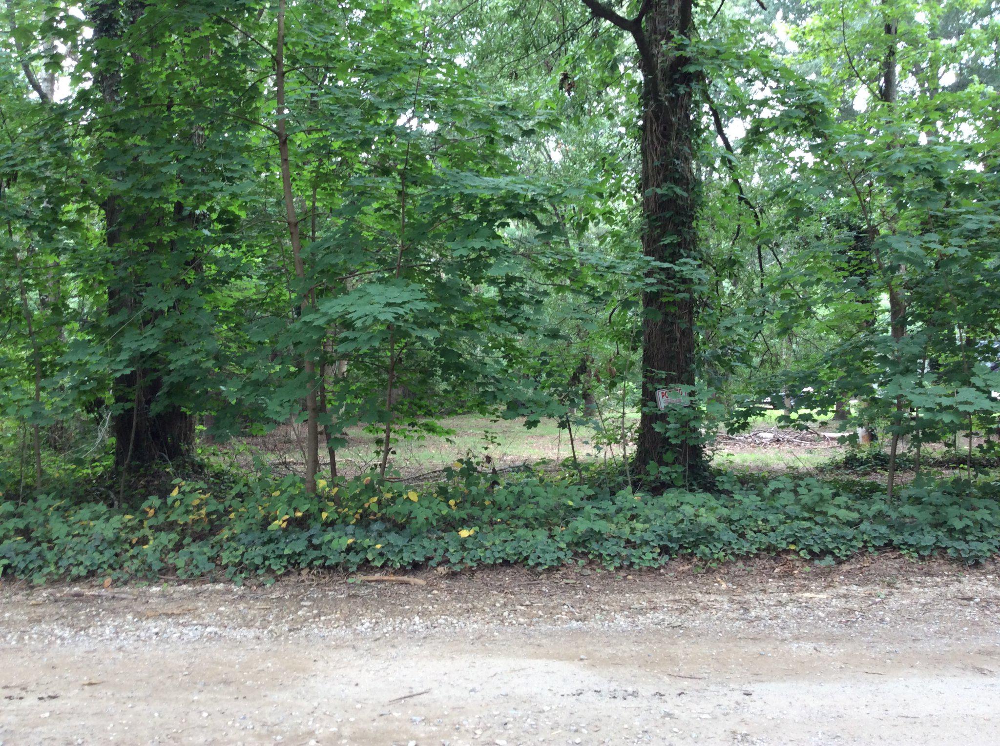 233 Merganser Dr Property Photo 4