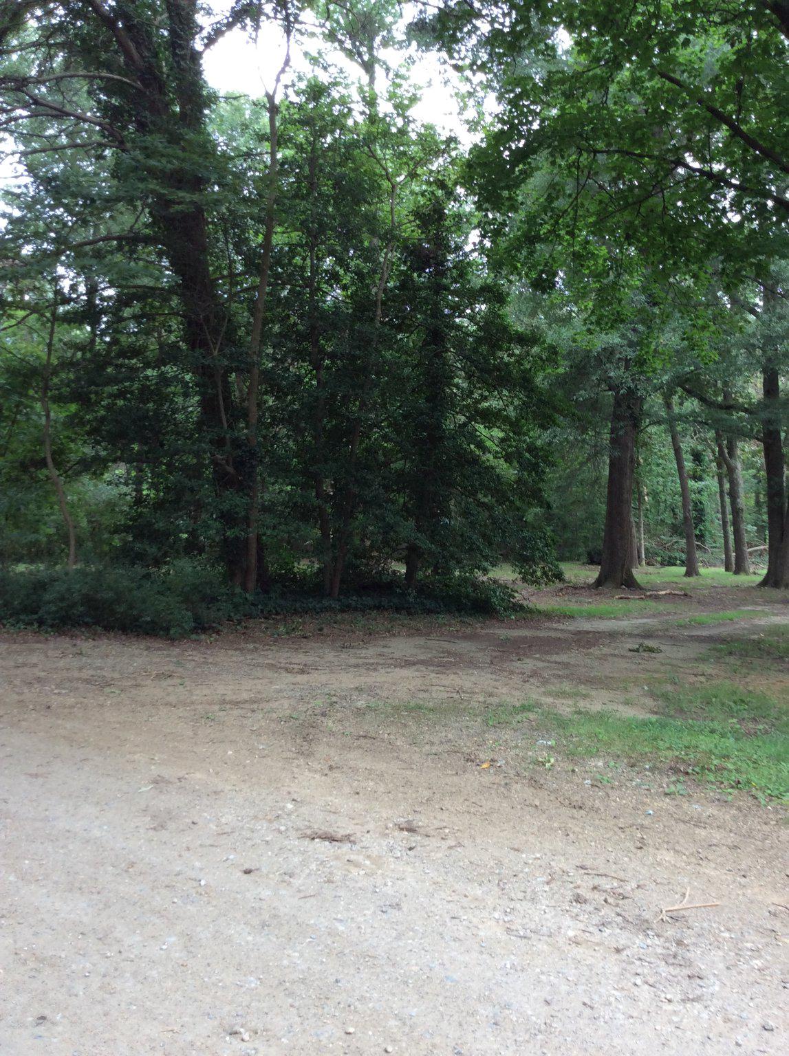233 Merganser Dr Property Photo 5