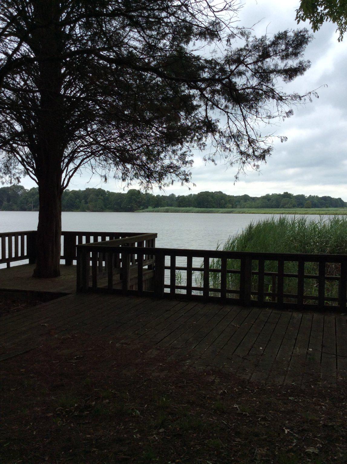 233 Merganser Dr Property Photo 7