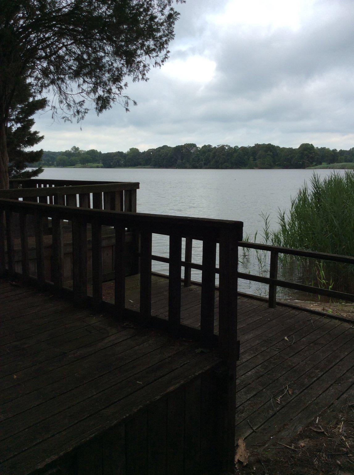 233 Merganser Dr Property Photo 8