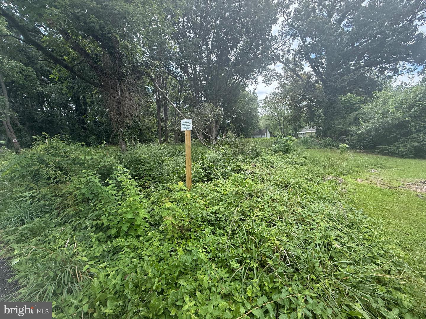 Harley Ln #lot 1 Property Photo 2