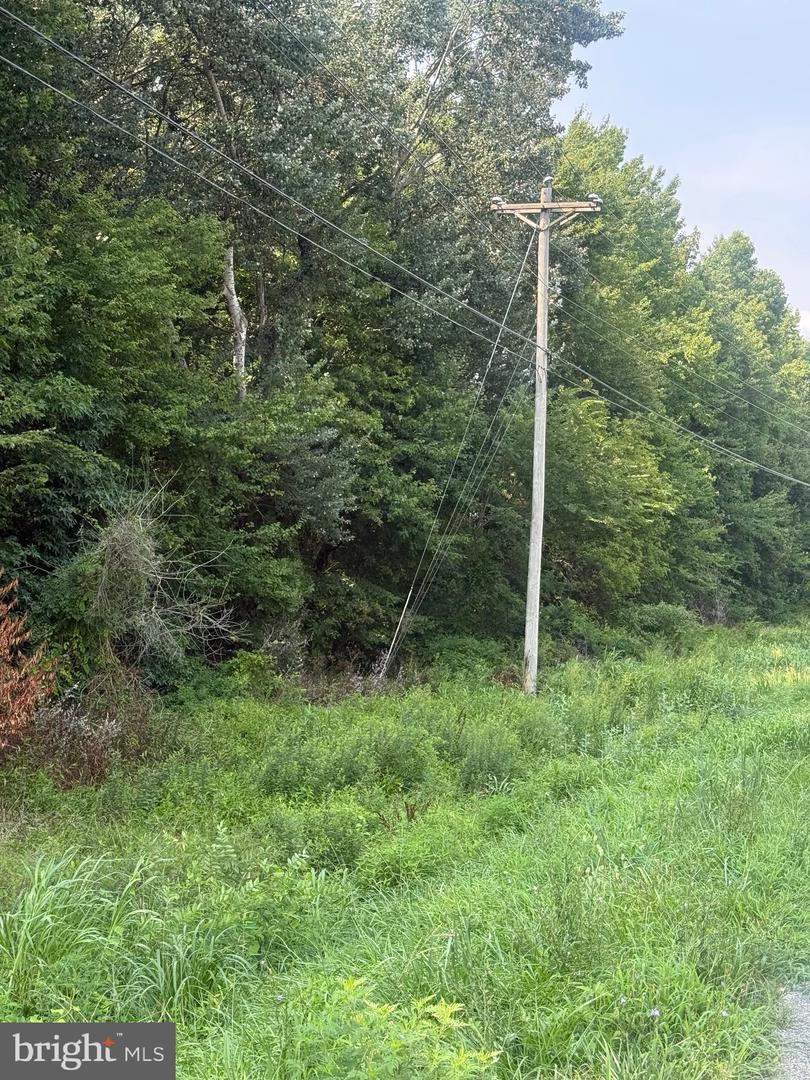 Parcel 38 Goldsboro Rd Property Photo 3