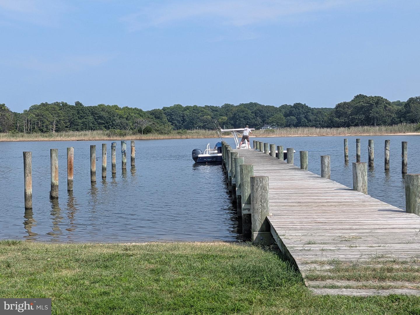 965 Chester River Dr Property Photo 3