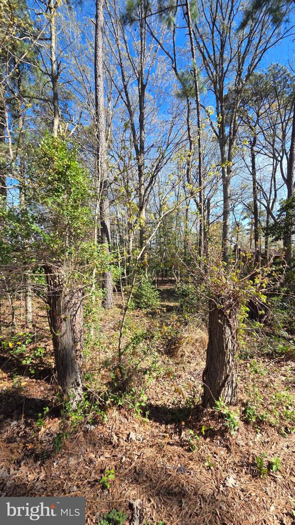 Touhey Dr Property Photo 16
