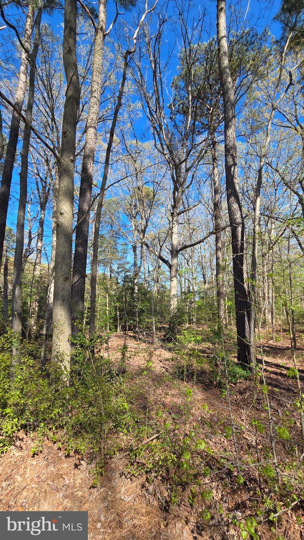 Touhey Dr Property Photo 17