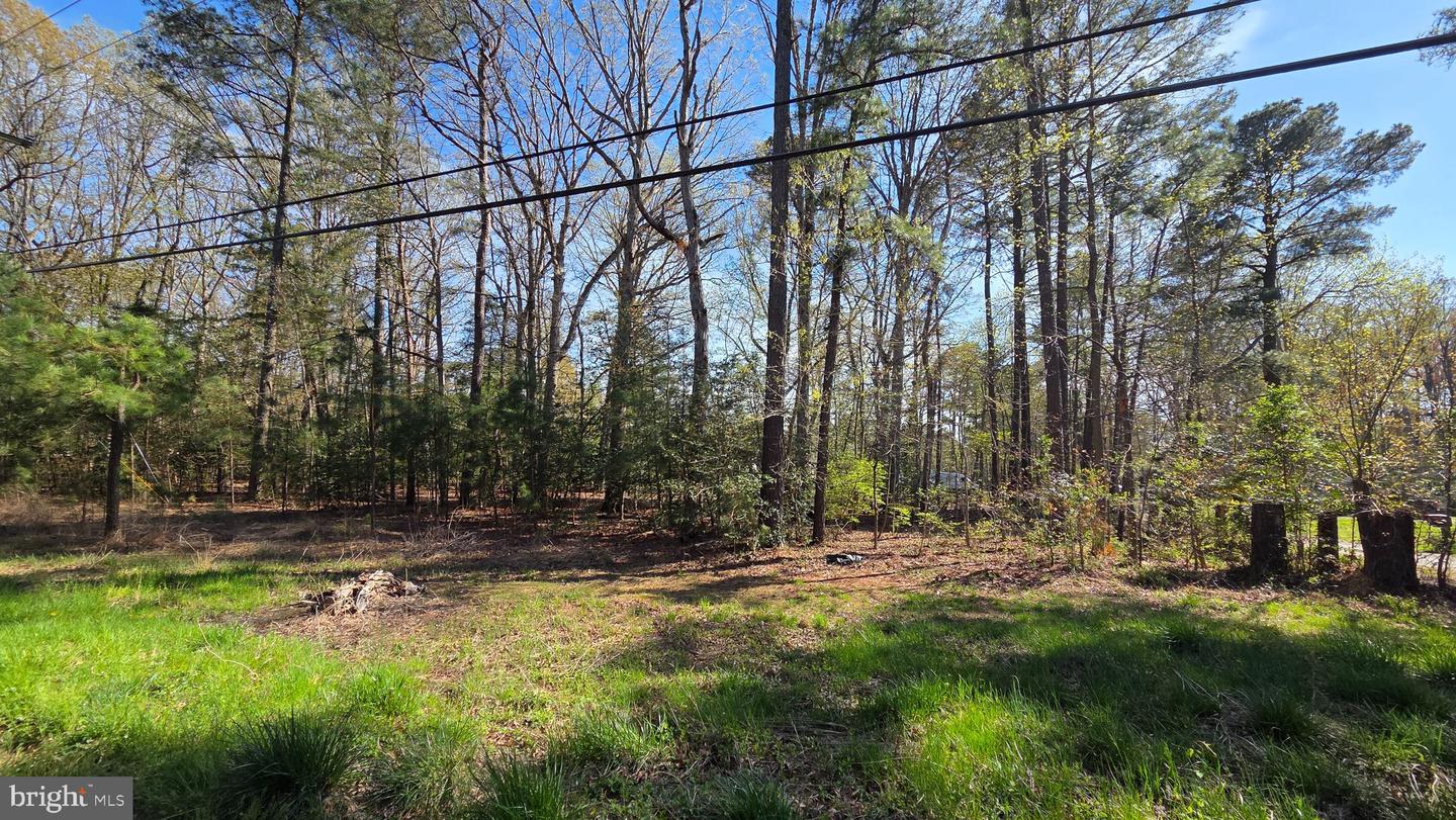 Touhey Dr Property Photo 18