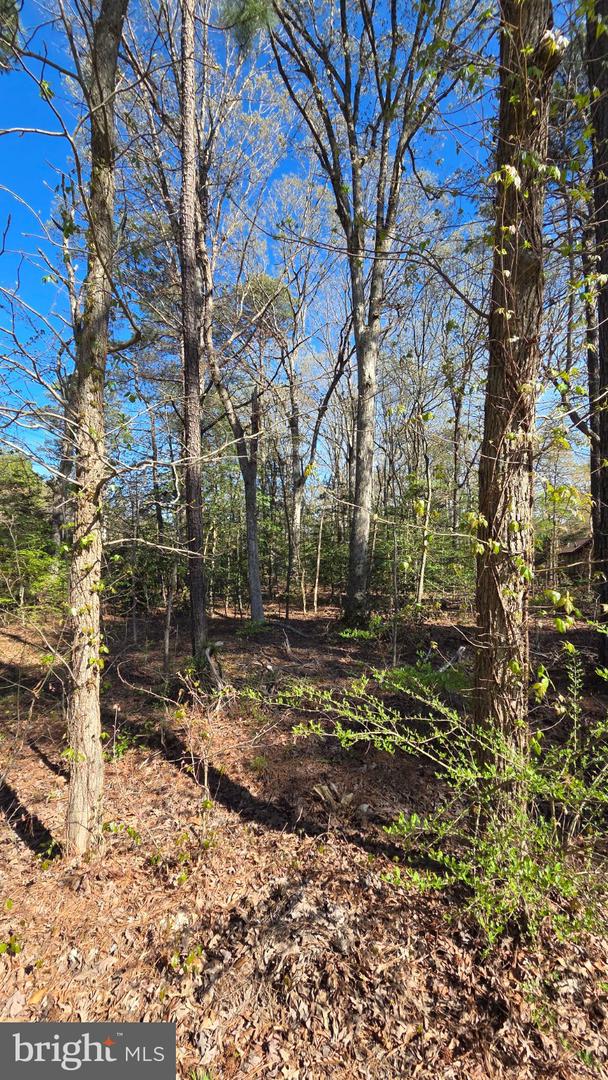 Touhey Dr Property Photo 19