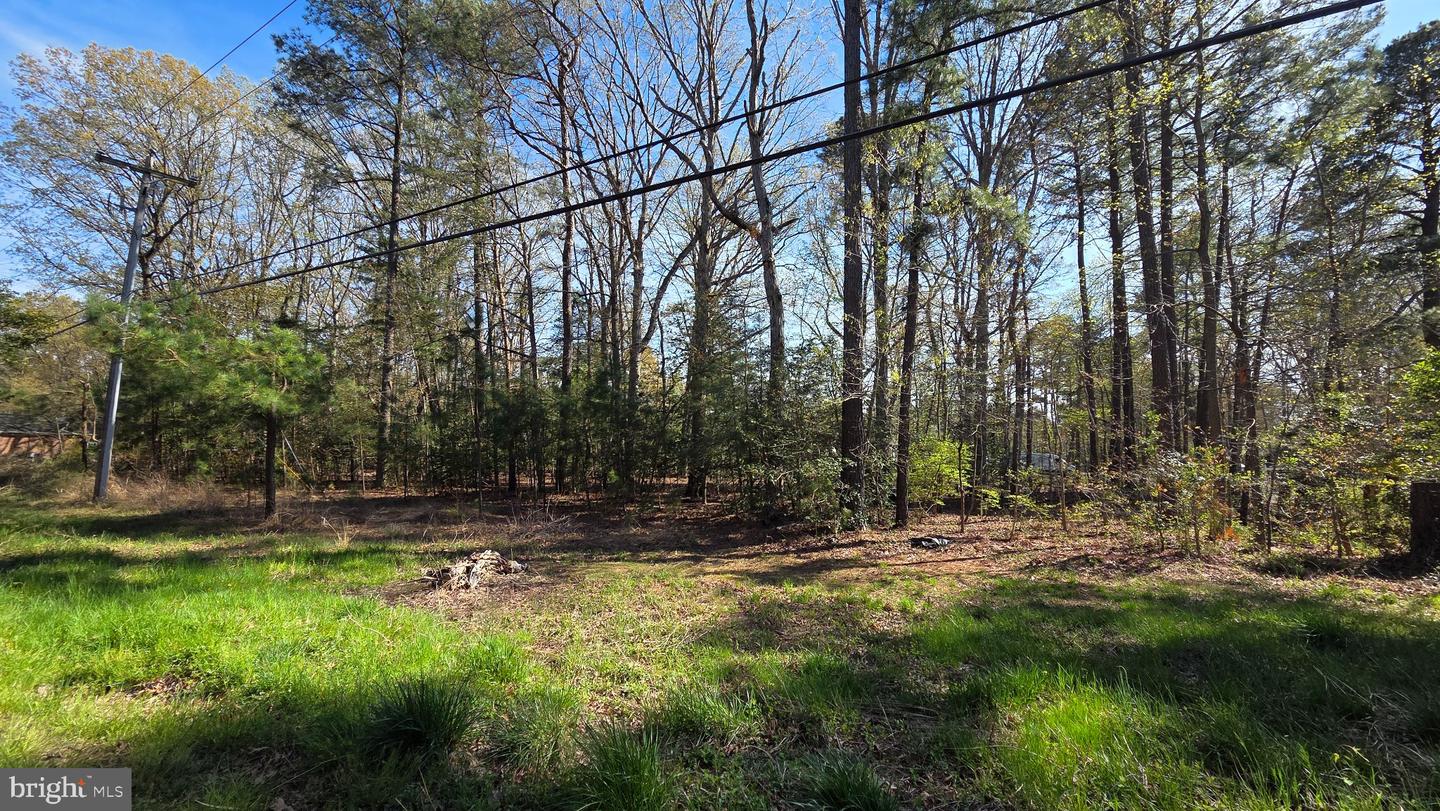 Touhey Dr Property Photo 20