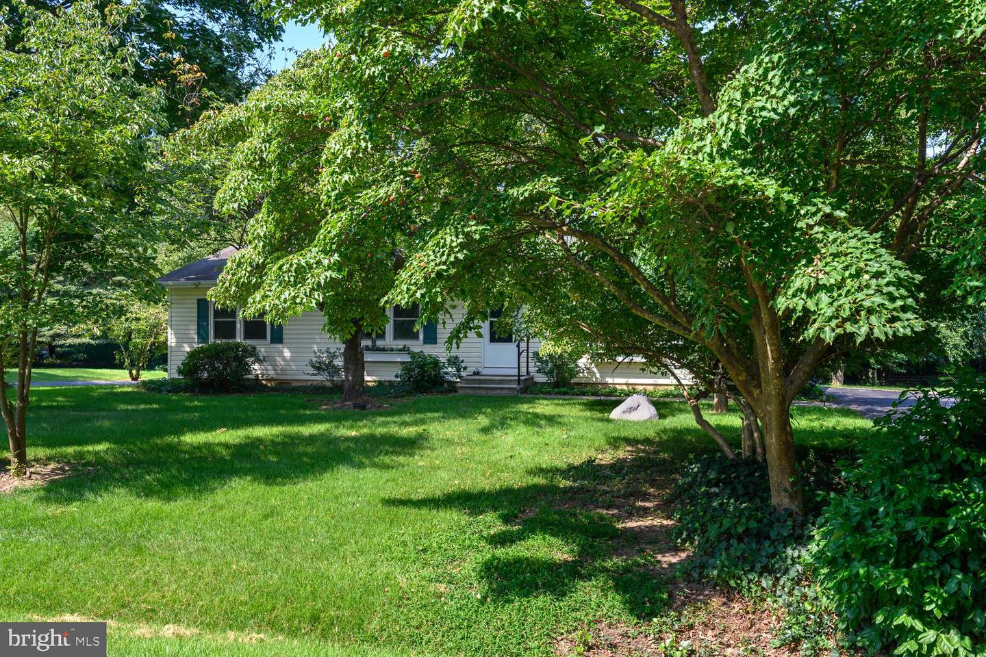 217 Edmore Rd Property Photo 5