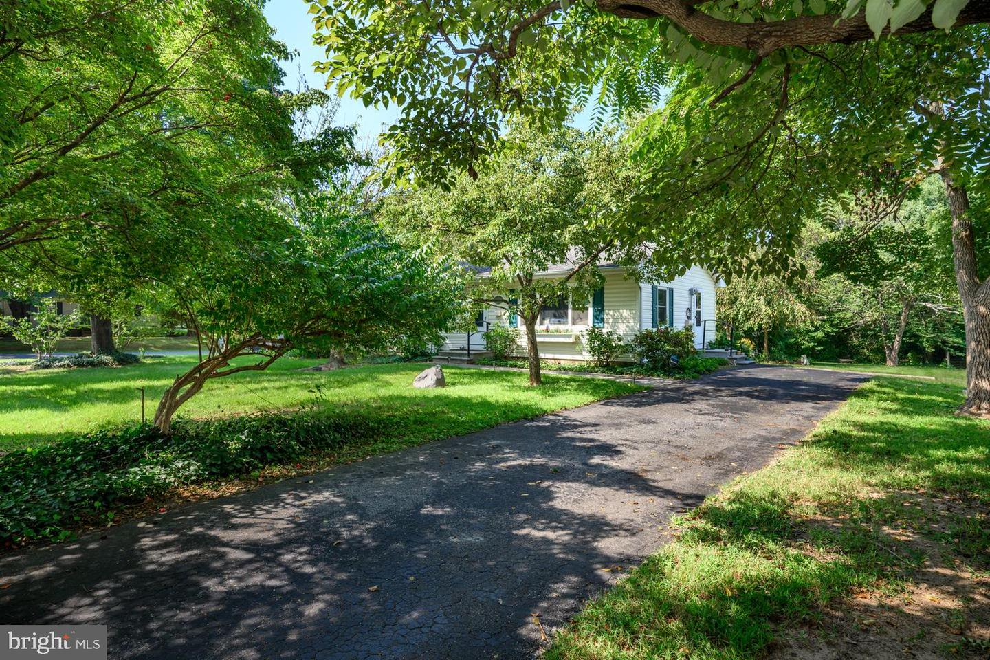 217 Edmore Rd Property Photo 6