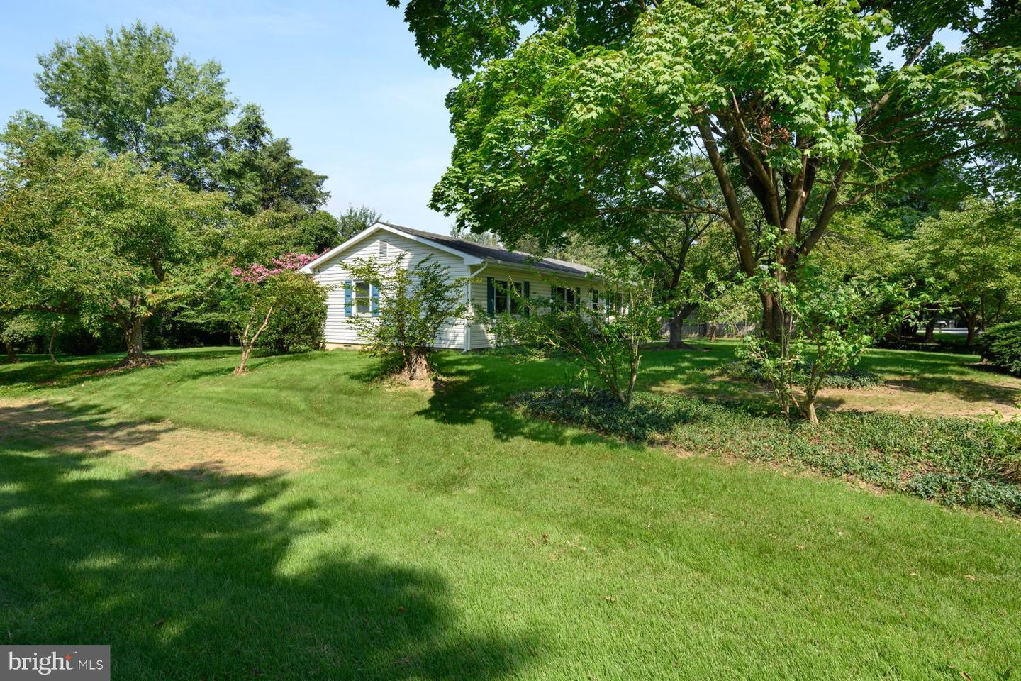 217 Edmore Rd Property Photo 30