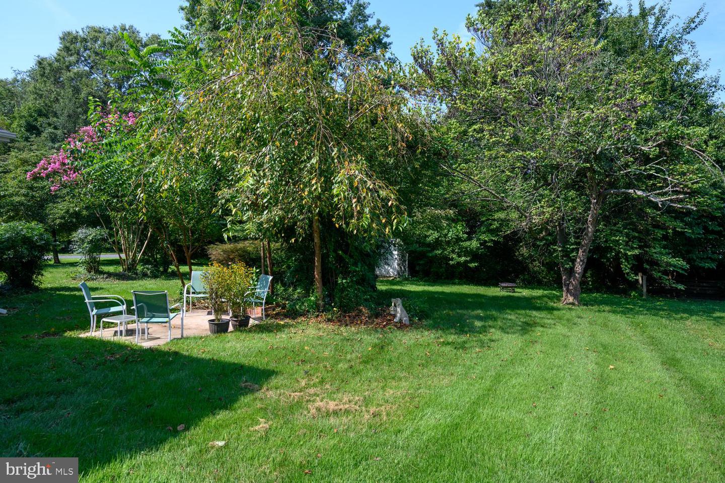 217 Edmore Rd Property Photo 33